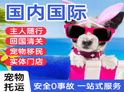 广州白云航空物流国际宠物托运 【国